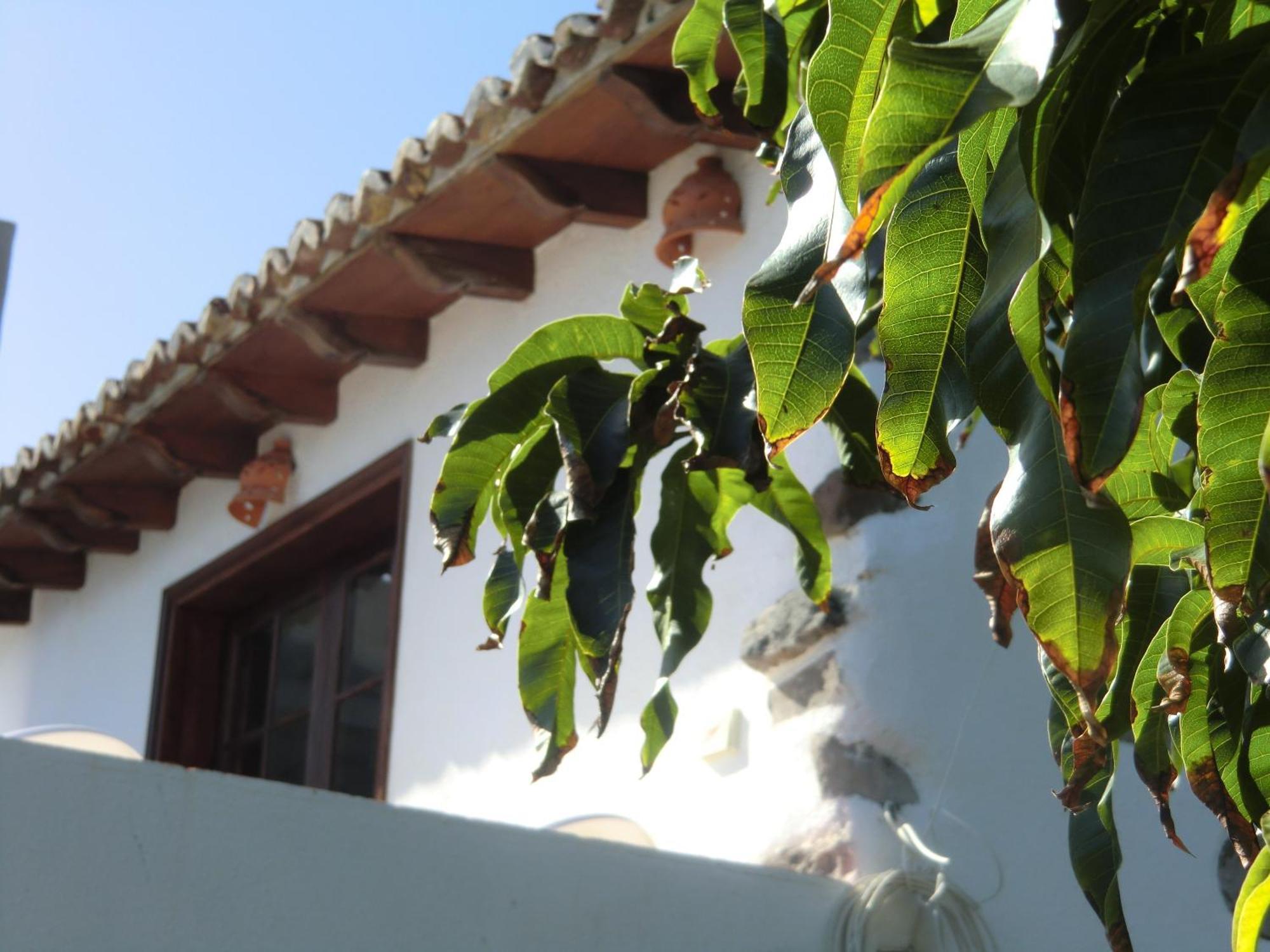 Villa Delfines Agulo Eksteriør bilde
